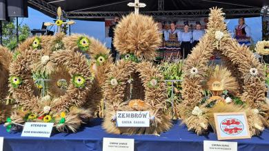 Dożynki Powiatowe 2024 - sukces reprezentującego naszą gminę Koła Gospodyń Wiejskich z Maliszewy