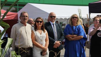 Dożynki 2026