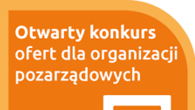 Organizacja zajęć dla dzieci i młodzieży w formie spotkań pozalekcyjnych z elementami profilaktyki