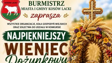 plakat